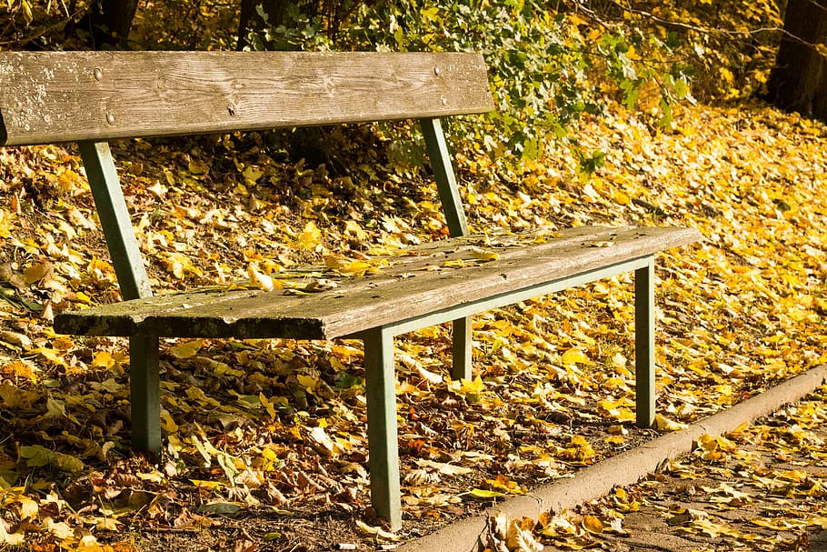 bench, session, sit, seat, autumn, leaf, plant part, wood - material HD wallpaper