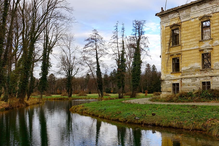 ruin, waters, reflection, autumn, tree, plant, nature, built structure HD wallpaper