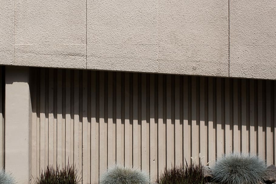 green and brown grass beside gray concrete wall, green and brown plants near gray concrete building at daytime HD wallpaper