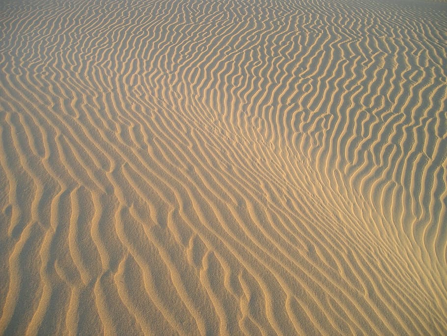 brown desert sand, india, sand pattern, drift, drought, sand Dune HD wallpaper