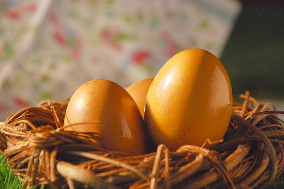 egg, eggs, easter, spring, easter time, the tradition of, easter eggs HD wallpaper