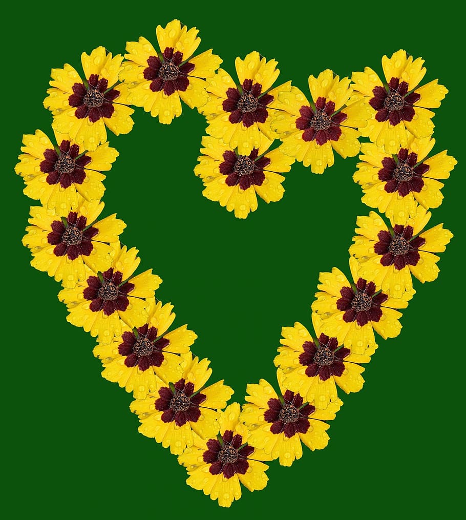 Heart, Flowers, Pattern, Design, Love, floral, plant, natural HD wallpaper
