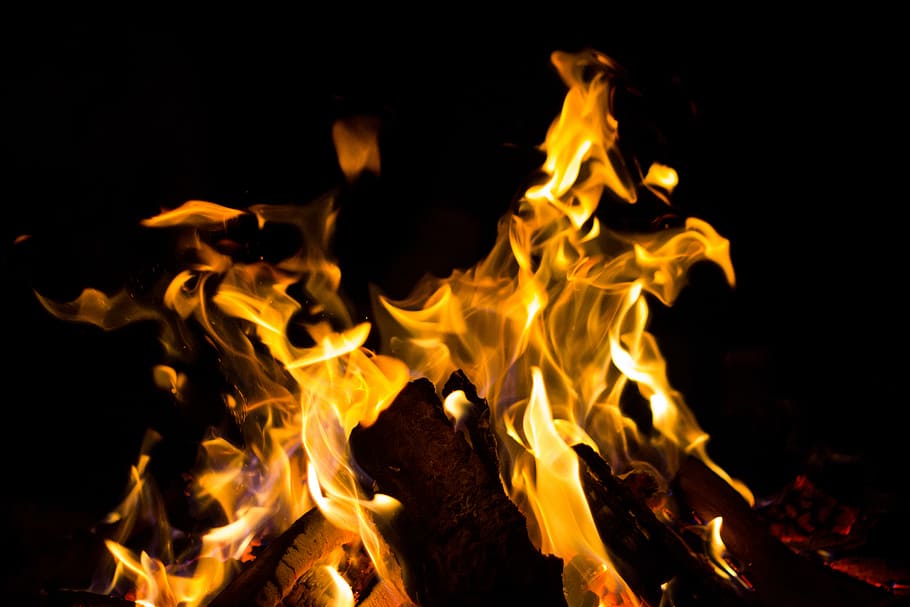burning charcoal, bonfire during nighttime, flame, hot, heat HD wallpaper