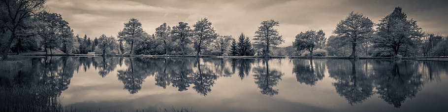panoramic view of lake with surrounding trees, panorama photography, HD wallpaper