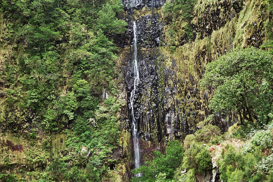 madeira, waterfall, highlands, mountains, summit, levada, eucalyptus forest, HD wallpaper