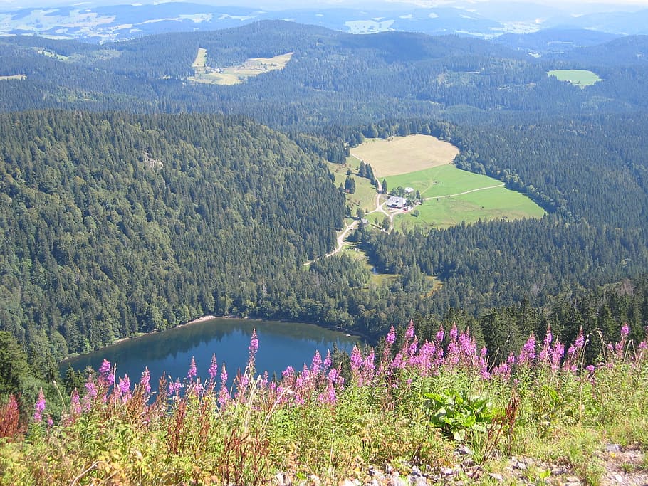 view, outlook, wide, far, black forest, feldberg, lake, bergsee HD wallpaper