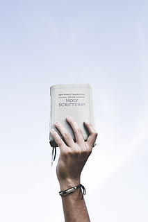 person holding bible, person holding Holy Scriptures book, True HD wallpaper