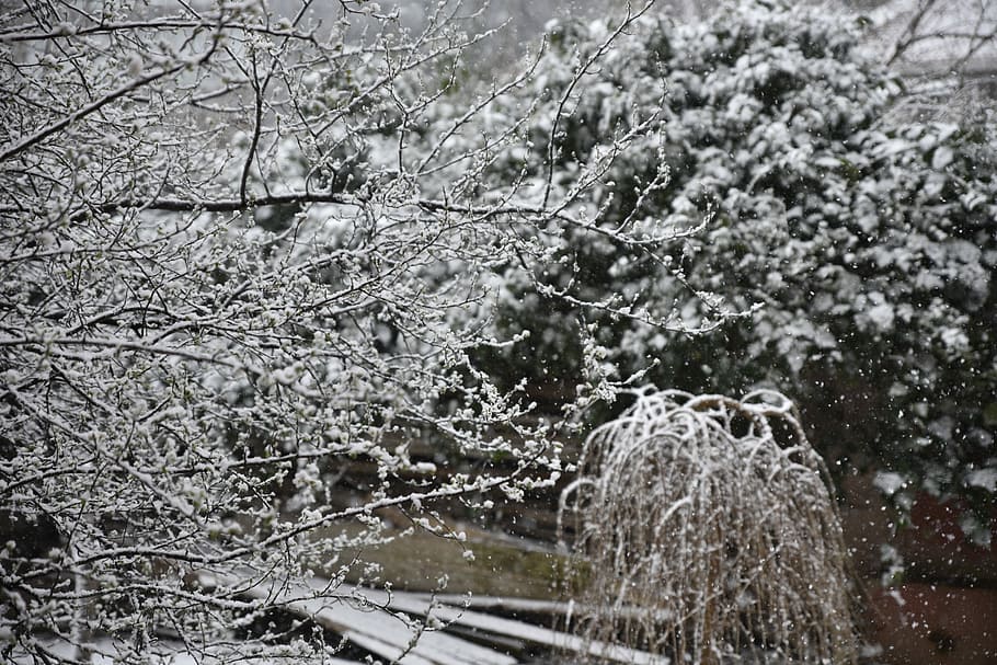 Snow, Winter, Ice, day, no people, cold temperature, nature HD wallpaper