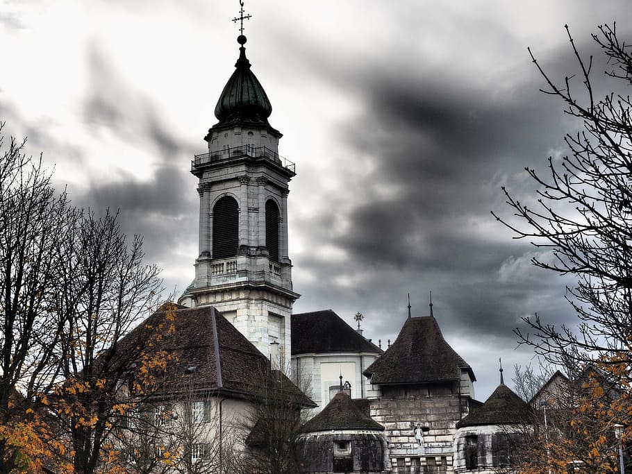 baseltor, solothurn, st ursus cathedral, nave, cathedral of st urs und viktor, HD wallpaper