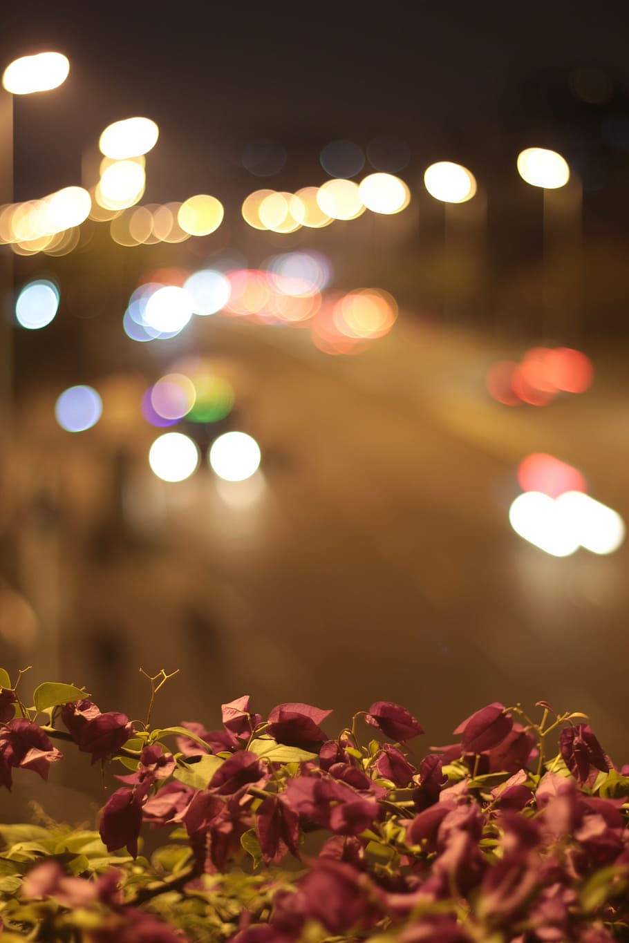 lotus, lotus leaf, spring, bokeh, illuminated, night, glowing HD wallpaper