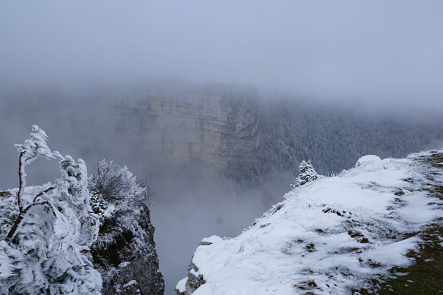 fog, winter, tree, landscape, nature, snow, cruix du van, cold temperature HD wallpaper