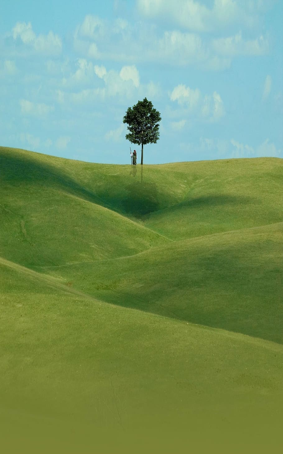 download, wallpaper, tree, grass, sky, village, landscape, nature HD wallpaper