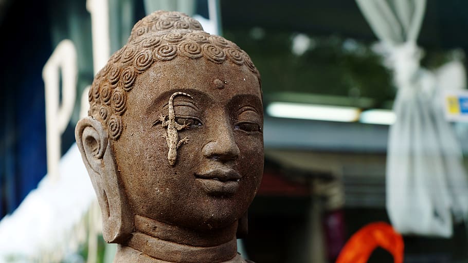 Buddha, Lizard, Bali, statue, sculpture, buddhism, asia, religion HD wallpaper