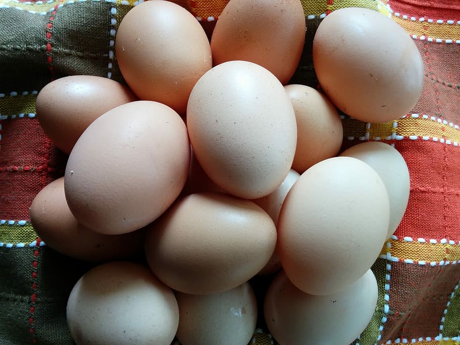 Eggs, Easter, Nature, food, organic, raw Food, brown, animal Egg HD wallpaper
