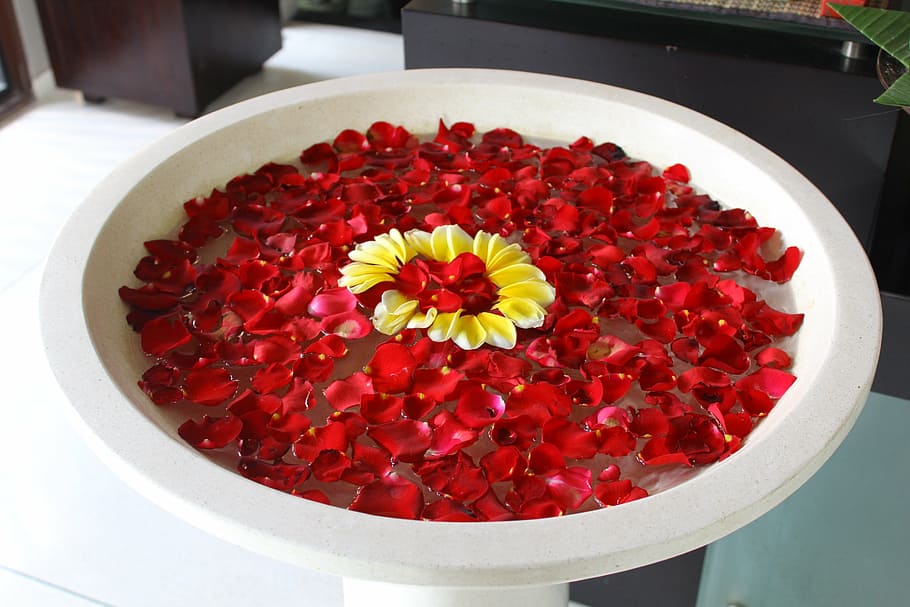 bowl with water and rose petals, lebar cm island, spa, hotel
