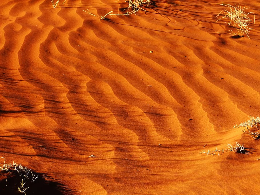 desert and green trees on field, pattern, sand, orange, australia HD wallpaper