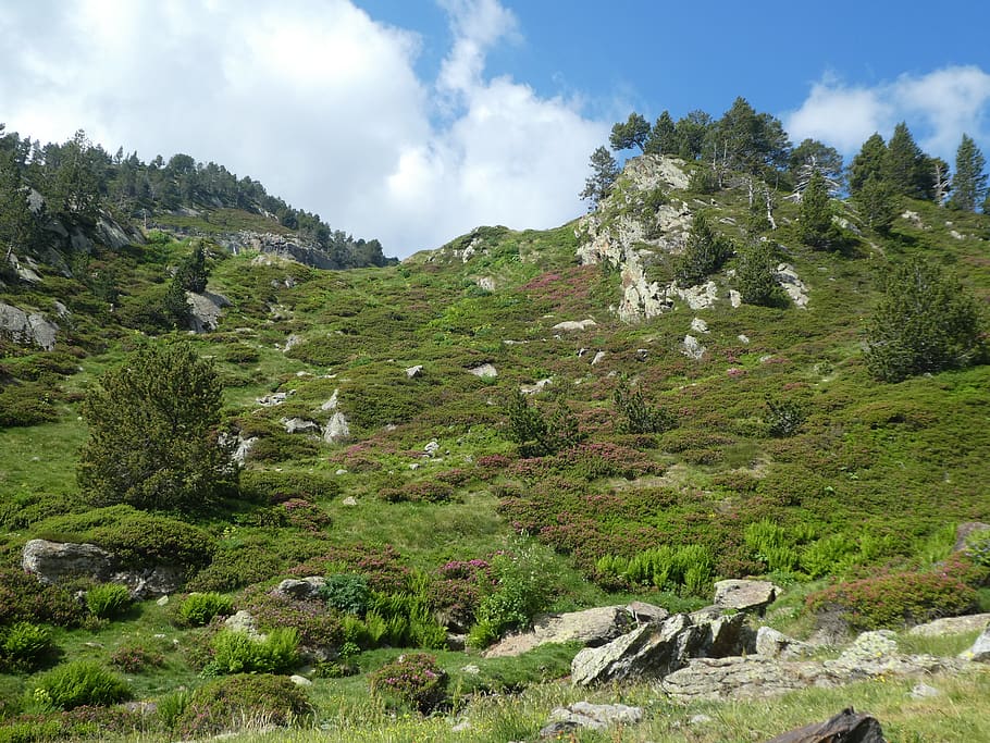 mountain, sky, cloud, trees, andorra, plant, beauty in nature HD wallpaper