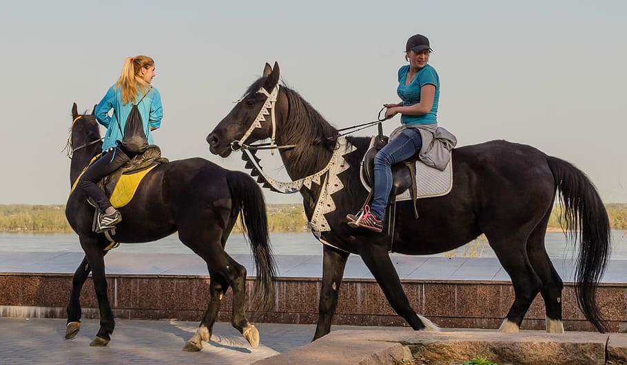 Horse, Ride, summer, riding, horseback riding, full length HD wallpaper