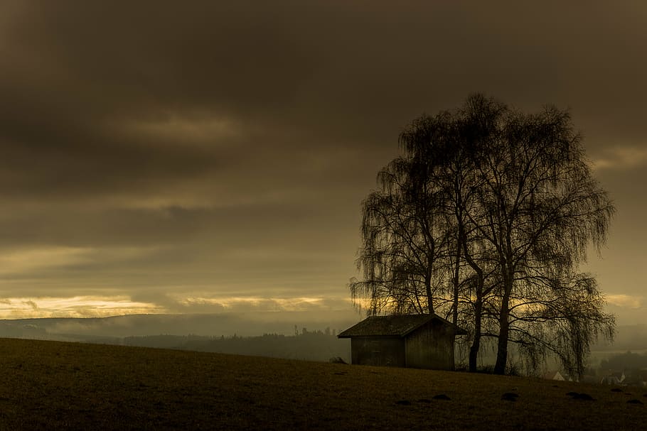 brown wooden house, landscape, nature, sky, blue, clouds, panorama HD wallpaper