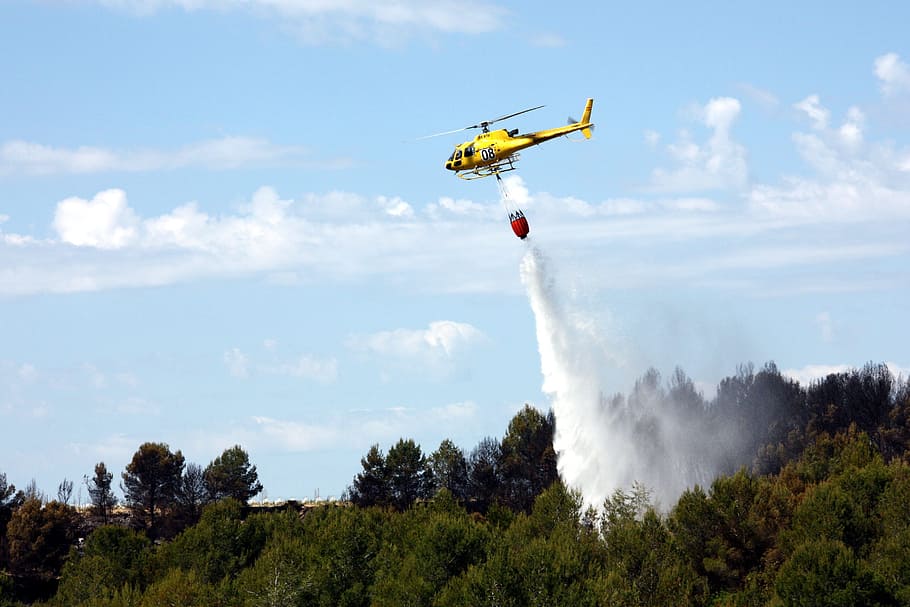 helicopter, seaplane, forest, fire, tree, water, flames, smoke HD wallpaper
