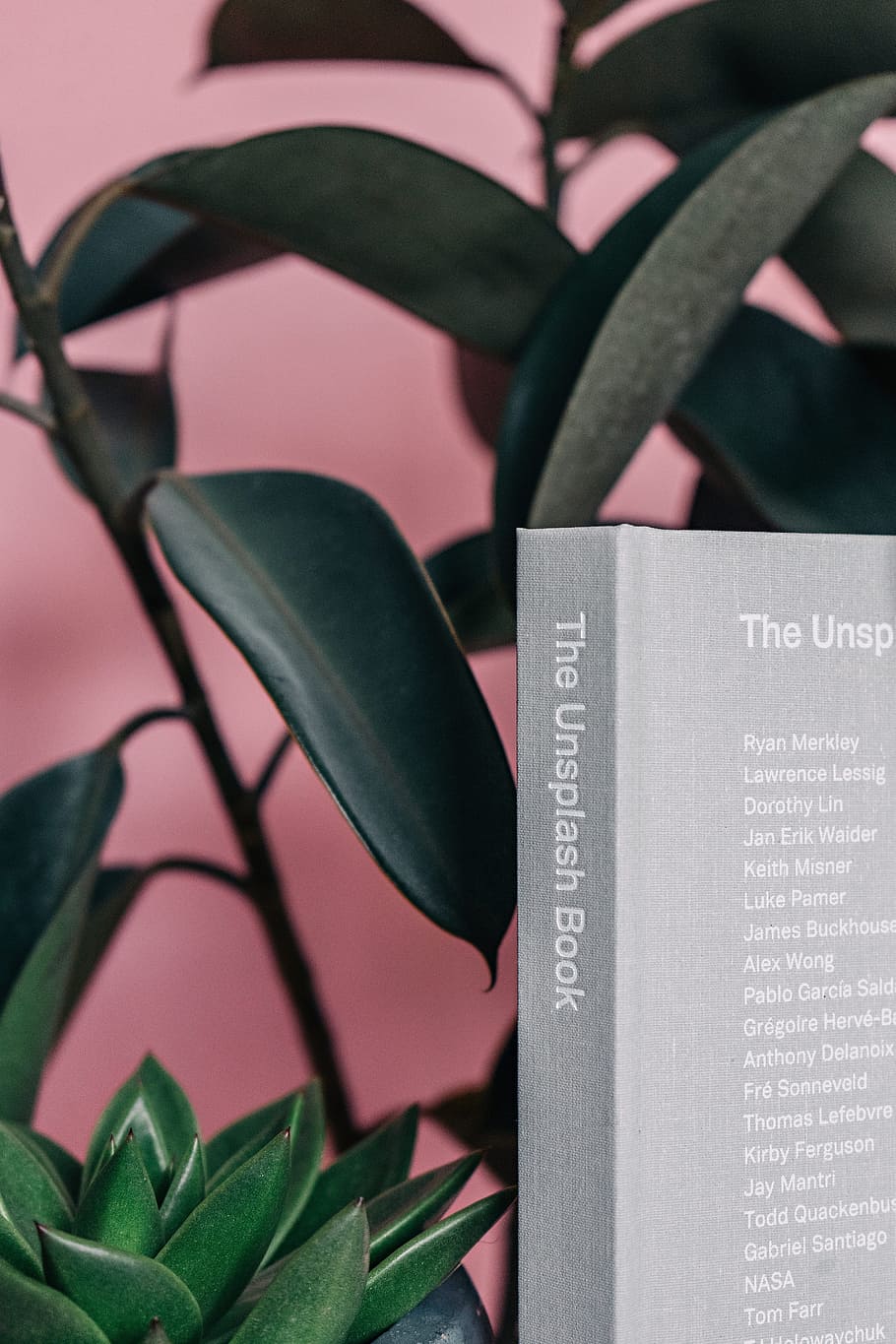 nature, blur, plants, green, book, botanical, branch, close-up HD wallpaper