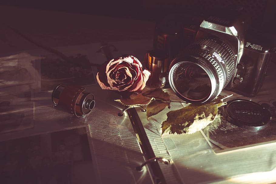 analog, camera, digital, f-401x, film, lens, nikon, photography HD wallpaper