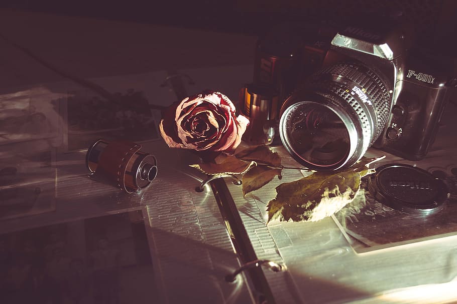 MILC camera beside red rose, red rose near black DSLR camera on table