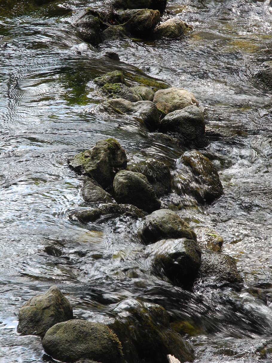 water, bach, stones, flow, splash, movement, wet, nature, rock HD wallpaper