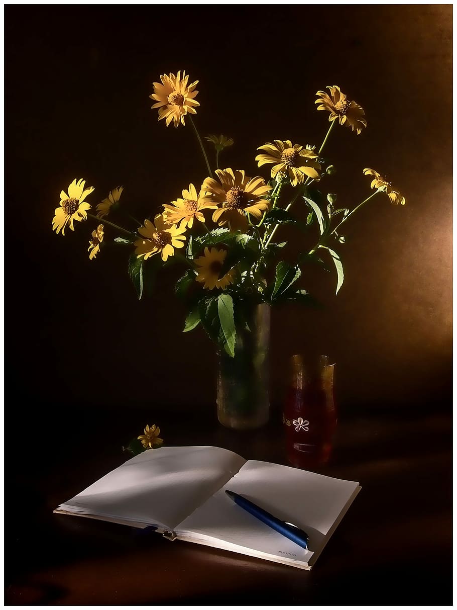 still life, chamomile, notebook, flowering plant, table, nature HD wallpaper