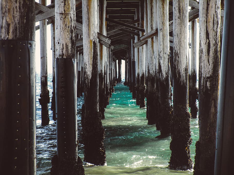 Water column