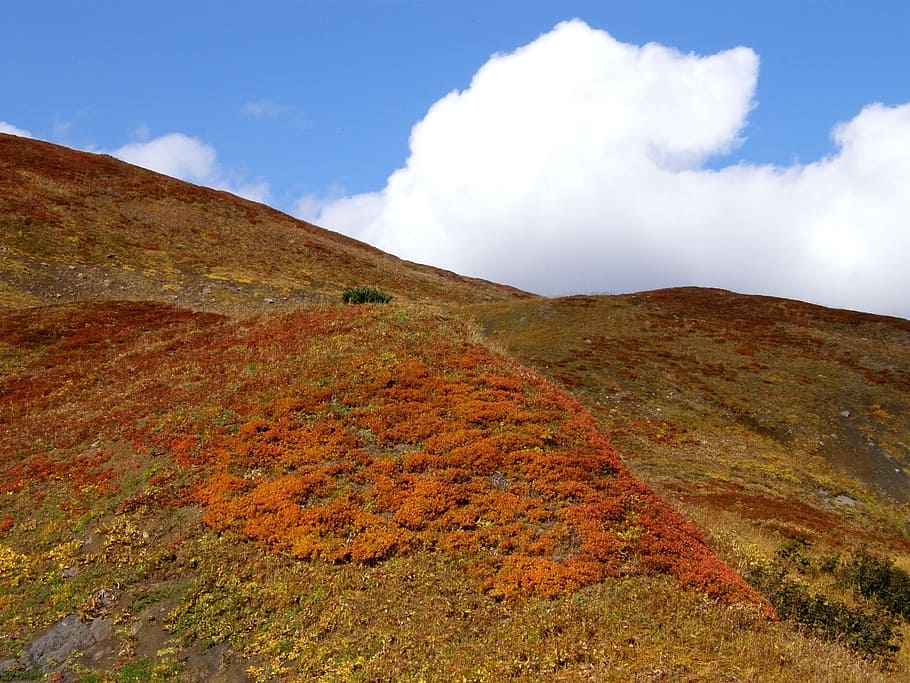 autumn, mountains, clouds, fall colors, grass, sky, foliage HD wallpaper