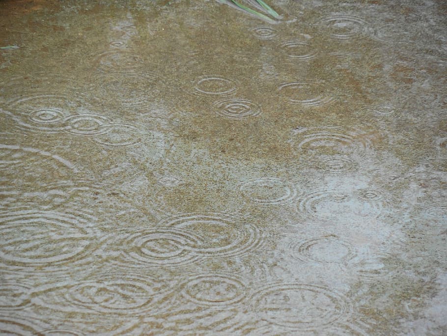 Water, Wet, Drop, Weather, rain, raindrop, liquid, environment HD wallpaper