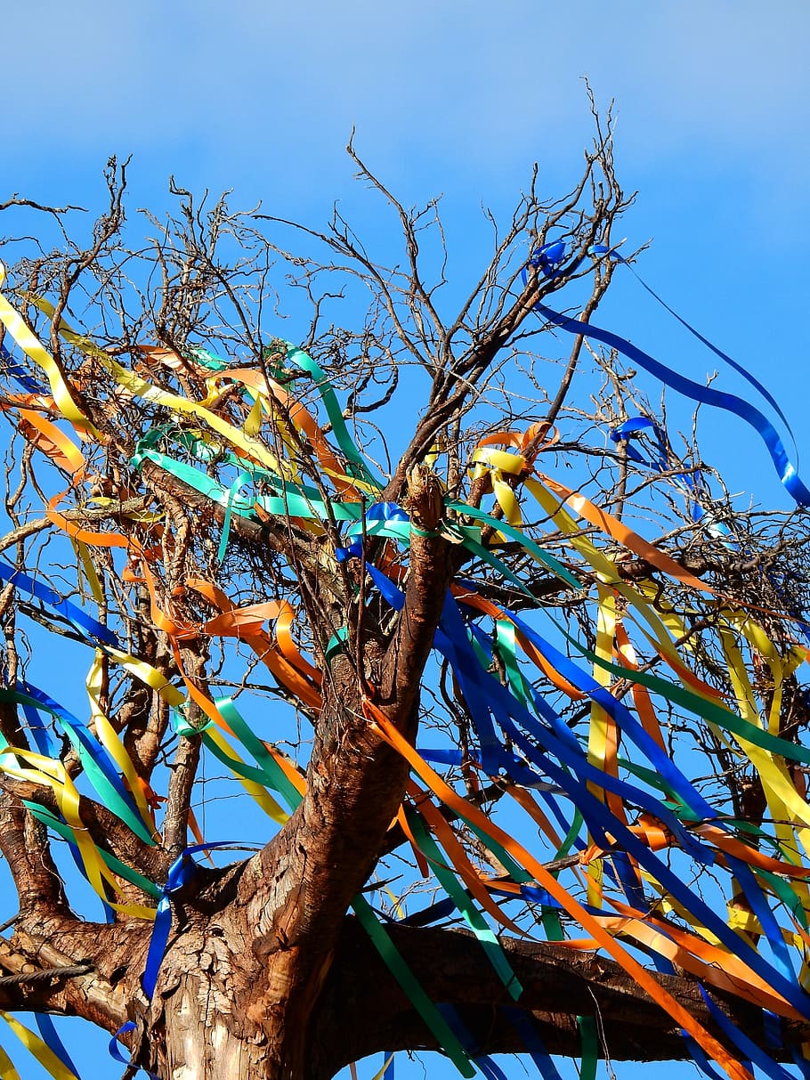 branches, tree, aesthetic, sky, kahl, carnival, colorful, bands HD wallpaper