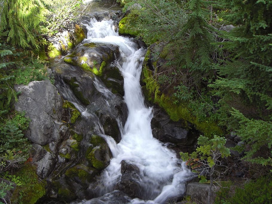 water, waterfall, stream, mountain, trail, paradise, rainier HD wallpaper