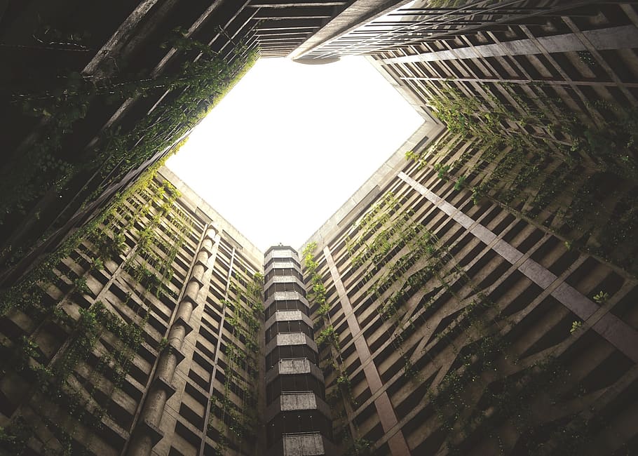 skylight, building, concrete, structure, vines, architecture HD wallpaper