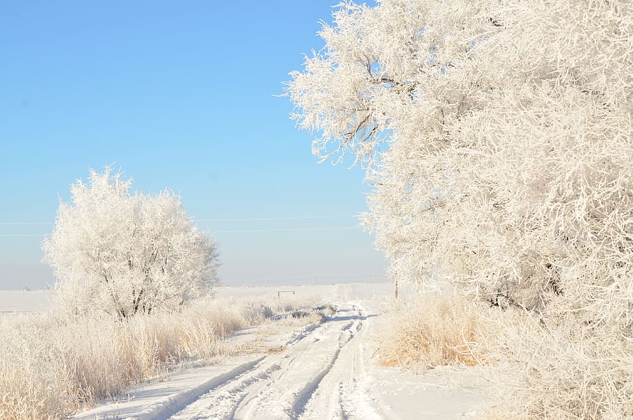 Driveway, Road, Hoarfrost, Winter, White, blue, outdoors, landscape, HD wallpaper