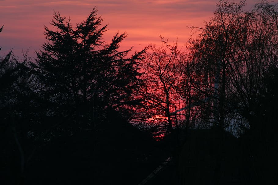 sunset, afterglow, evening sky, nature, sun down, tree, silhouette HD wallpaper