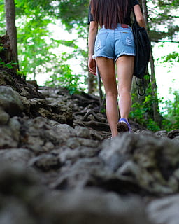trees, hiking, path, rocks, adventure, northwest, nature, walk HD wallpaper