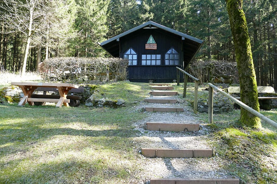 Rest House, Idyllic, Forest, Spring, romantic, hiking, relaxation HD wallpaper