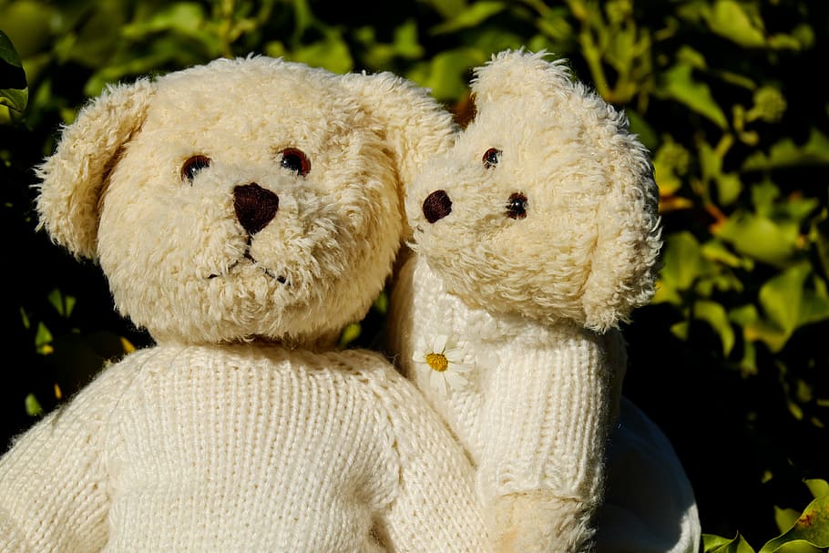 two brown bear plush toys, teddy, bears, pair, cute, stuffed toy HD wallpaper