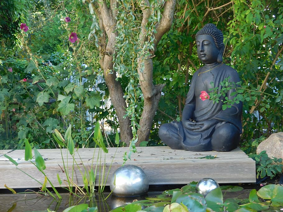 Buddha Garden Xx Full Hd - Buddha in the garden 1080P, 2K, 4K, 5K HD wallpapers free download |  Wallpaper Flare