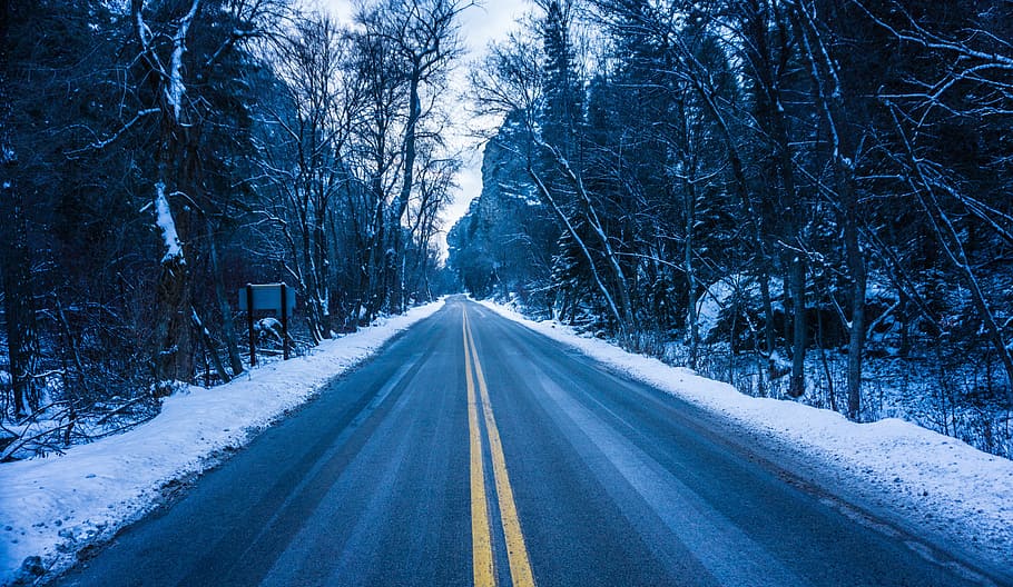 road, path, snow, winter, trees, plant, nature, transportation HD wallpaper