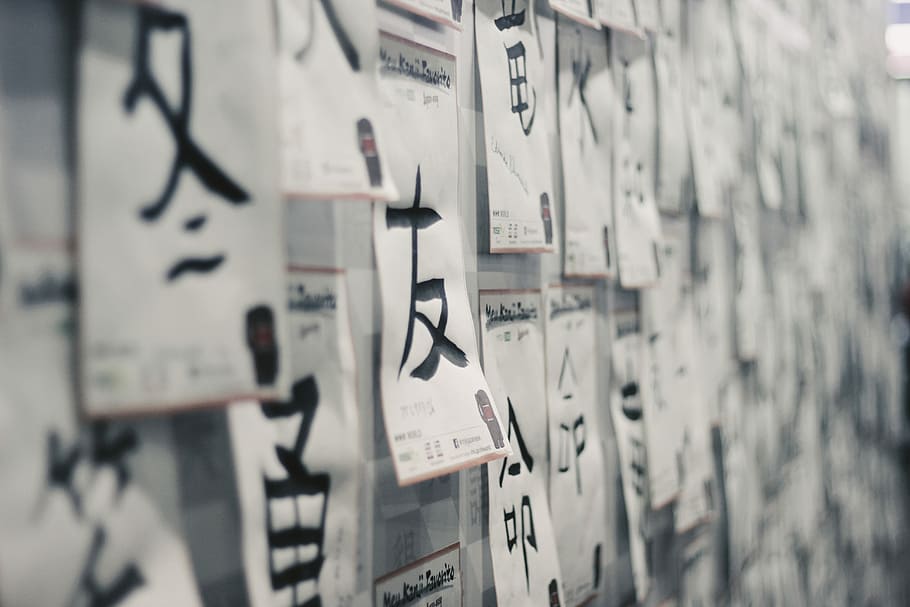 grayscale photo of printer papers, selective focus photography of papers on wall HD wallpaper