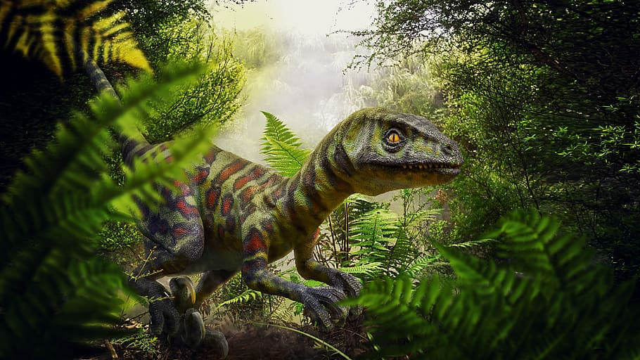 green Velociraptor illustration, dinosaur, jungle, fern, cretaceous period, HD wallpaper