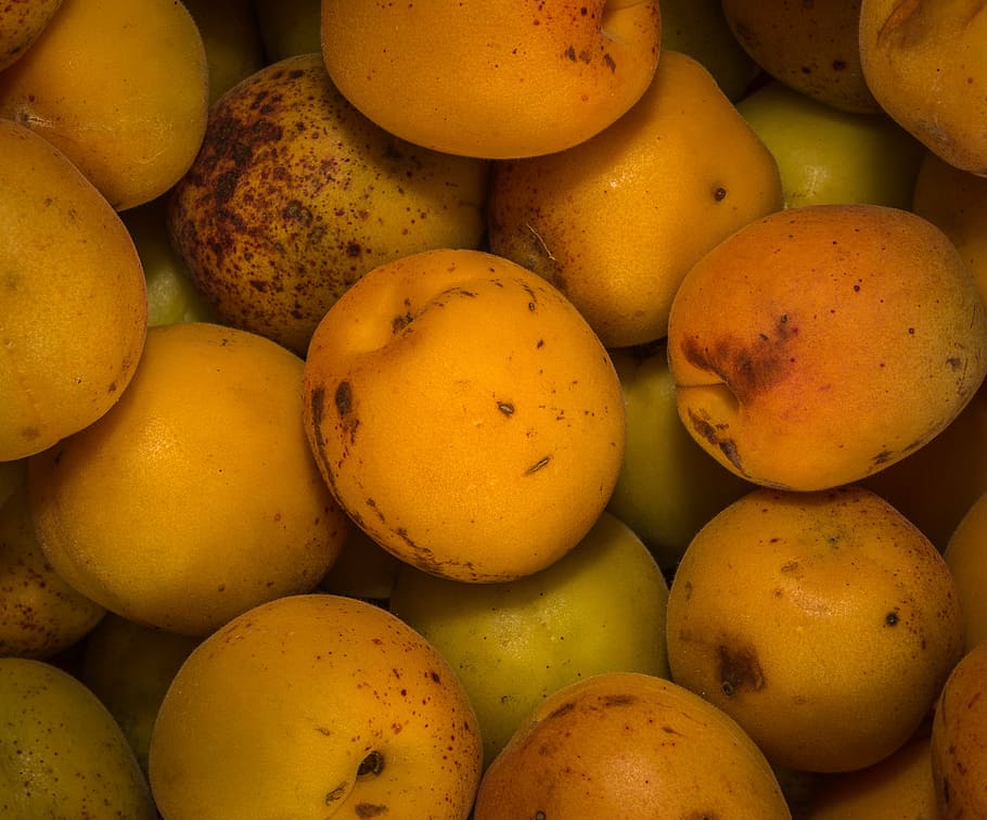 plum, peach, apricot, fruit, nature, plants, food and drink HD wallpaper