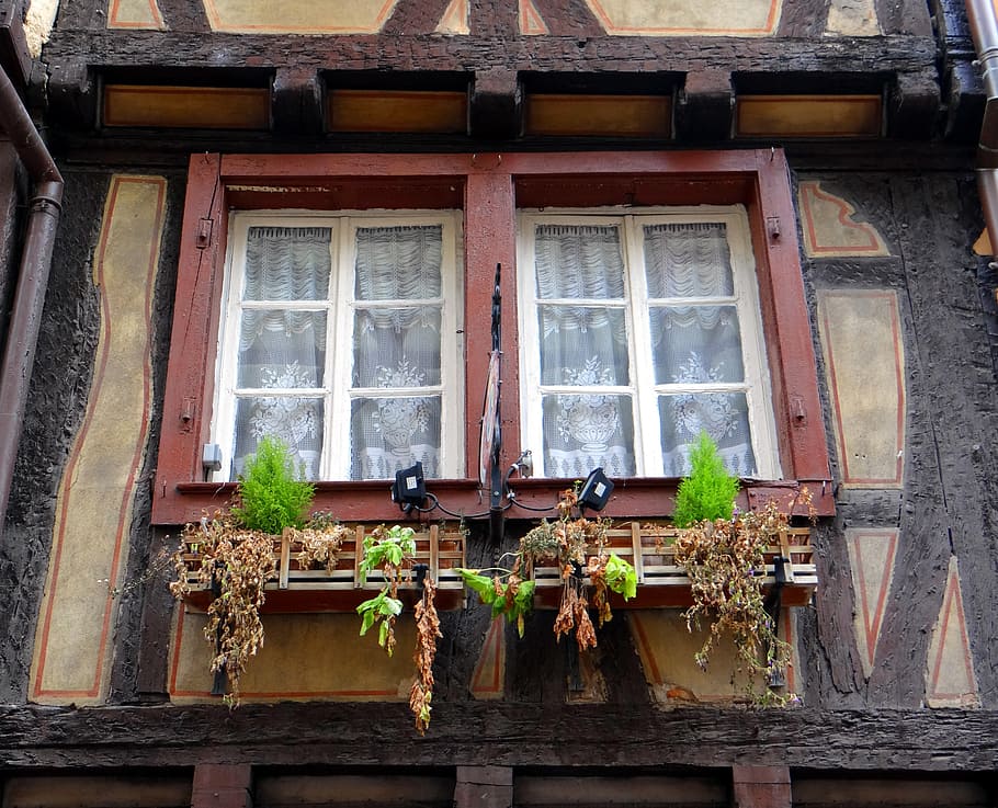 window, truss, morbid, flowers, old town, home, fachwerkhaus HD wallpaper