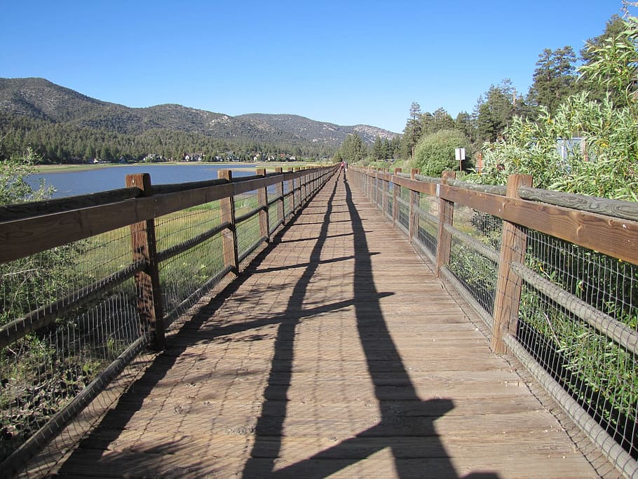 walkway, bridge, footpath, boardwalk, trail, wooden, railings HD wallpaper