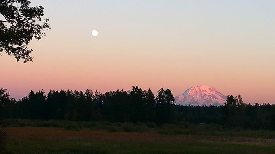 Dusk landscape view with moon of Mount Rainier National Park, Washington, HD wallpaper