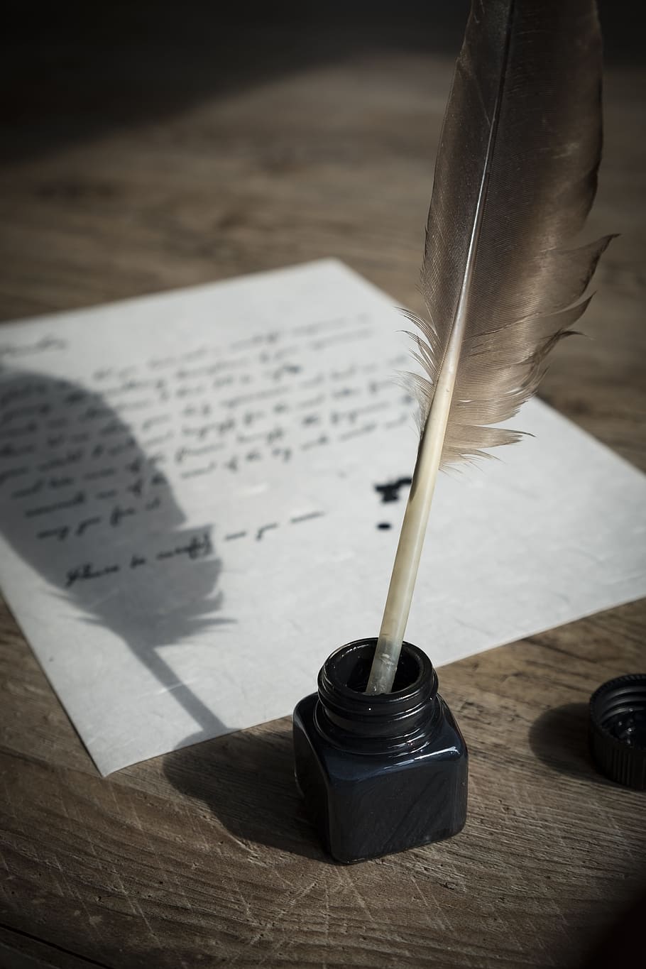 black quil pen on ink case beside paper, bird feather, parchment
