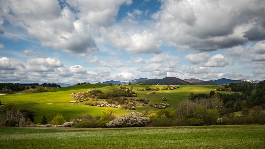 photo of green grass field during daytime, spring, sun, nature HD wallpaper